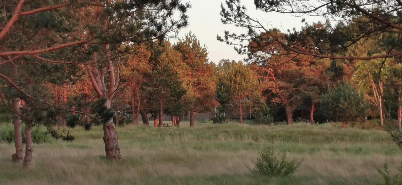Campsite Girti Bernāti Εξωτερικό φωτογραφία